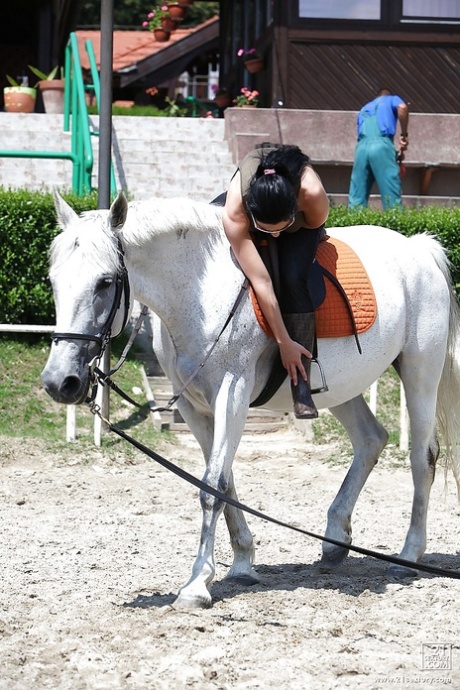 Порнозвезда Алетта Оушен катается на лошади на открытом воздухе в очках 4