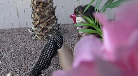 Да, это часть 2 Дня дилдо, нет, не День дилдо 14