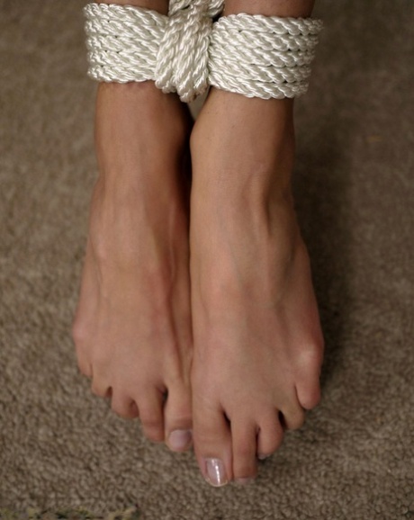 Грудастые самки Дарла Крейн и Ариэлла Феррера связаны веревкой и с кляпом во рту 12