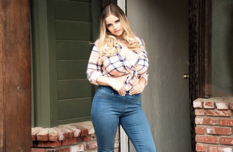 Толстую самку Коди Вор щупают за грудь перед тем, как трахнуть 1