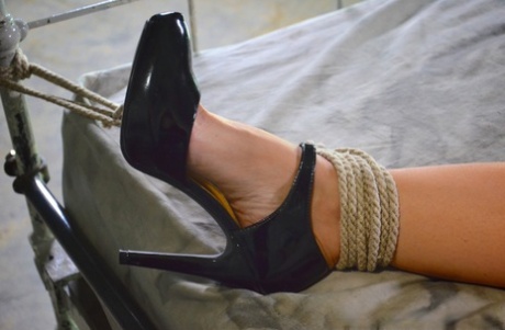 Связанную самку Сирен де Мер трахают в рот белые и черные члены 8